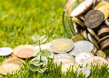 Guide to Mutual Funds Investment