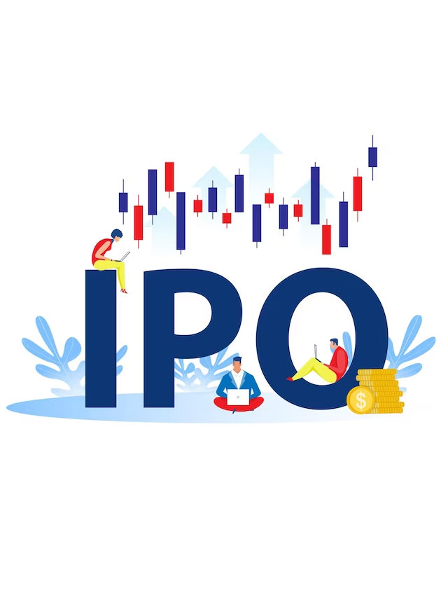 What is an IPO?