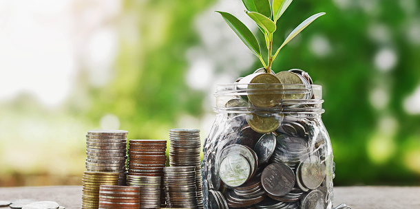 Fixed Deposits